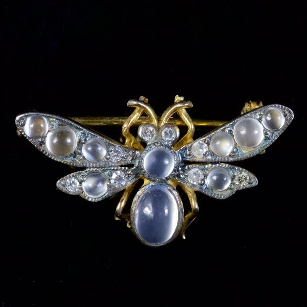 Edwardian Style Moonstone Diamond Bee Brooch 18ct Gold Silver