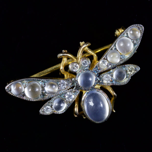 Edwardian Style Moonstone Diamond Bee Brooch 18ct Gold Silver