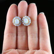 Victorian Style Opal Cluster Earrings Silver 18Ct Gold Gilt Studs hand