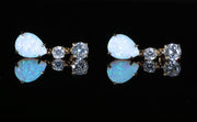 Opal Paste Long Earrings