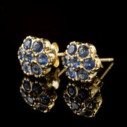 Sapphire Cluster Stud Earrings 9Ct Gold