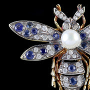 Sapphire Diamond Insect Brooch 18Ct Gold Silver Pearl