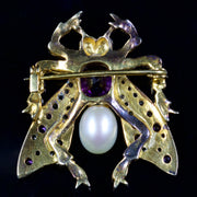 Suffragette Insect Brooch 2Ct Amethyst 18Ct Silver