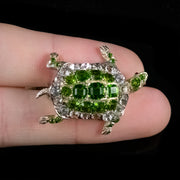 Antique Victorian French Tortoise Green White Paste Brooch Circa 1900