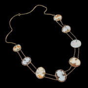 Vintage Cameo Necklace Bullmouth Shell 14Ct Gold Chain Circa 1932