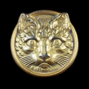 Vintage Cat Brooch Gold Gilt Circa 1950