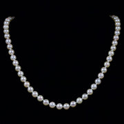 Vintage Pearl Necklace 14Ct Gold Clasp