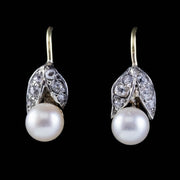Vintage Pearl Rose Cut Diamond Earrings 18Ct Gold