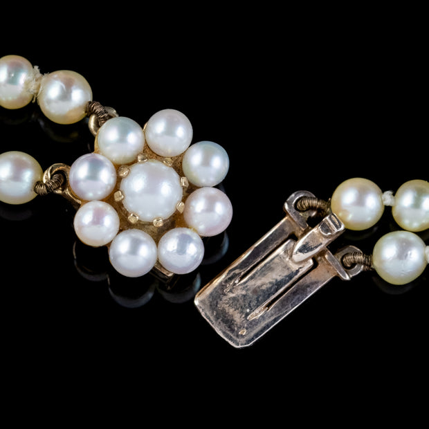 Vintage Pearl Necklace 18ct Gold Clasp Circa 1950