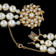 Vintage Triple Strand Pearl Choker Necklace 9ct Gold Sun Clasp Dated 1963