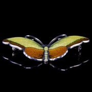 Vintage Enamel Butterfly Brooch Silver Honey Yellow Colours