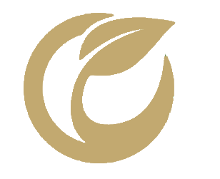 Sustainability - Conflict Free and Eco-Friendly
